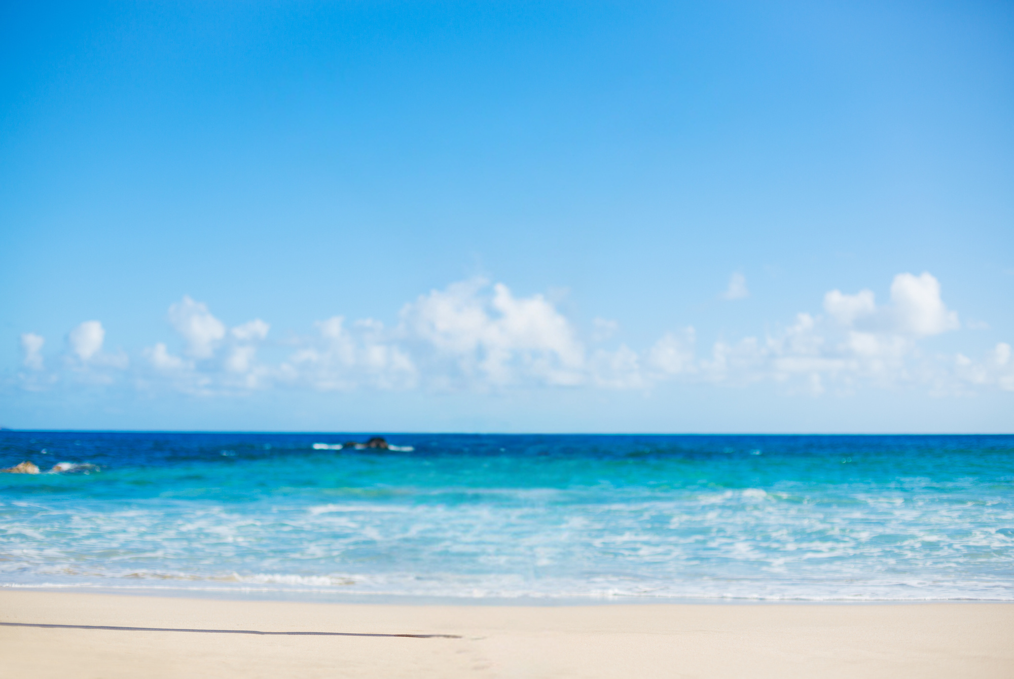 Happy Woman at the Beach